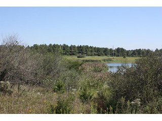 Property photo 41 - 419 +/- Acres offered in 6 Tracts, Land Auction
